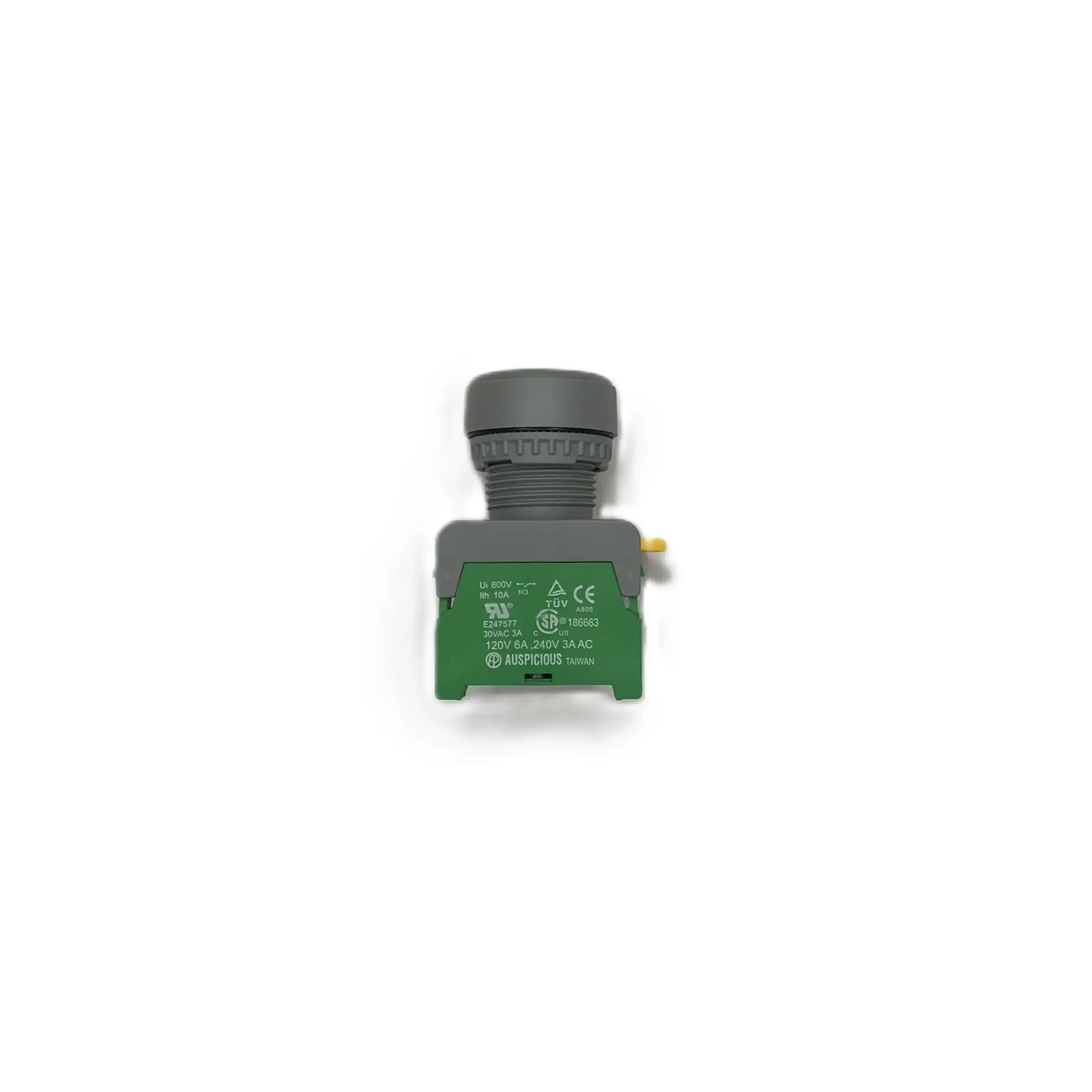 taster plavi XB22 Auspicious