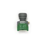 taster svetleci crveni LXB22 (220V) Auspicious